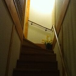 階段のインテリア実例 - 2012-05-10 19:40:04
