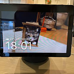 箱ねこ/アレクサのある暮らし/Amazon Echo show10/fukuさんちのふくちゃん/あなたがしてくれなくても...などのインテリア実例 - 2023-04-19 19:52:53