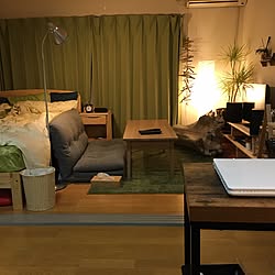 部屋全体/入居後/観葉植物/雑貨/一人暮らし...などのインテリア実例 - 2017-03-17 15:03:05