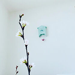 桜/花のある暮らし/リビングのインテリア実例 - 2023-04-09 06:13:39