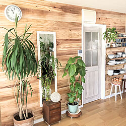 壁/天井/合板 板壁/DIY/木材/観葉植物のインテリア実例 - 2024-03-28 21:05:05