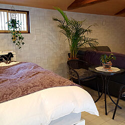 ベッド周り/テーマのあるお部屋作り/猫と暮らす/観葉植物のインテリア実例 - 2021-02-24 21:56:55