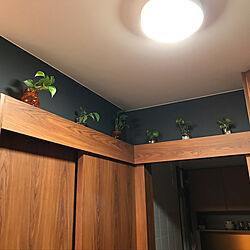 DIY/玄関/入り口/観葉植物のインテリア実例 - 2019-05-10 12:28:49