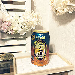沖縄/ビール缶/オリオンビール75/いつもいいねやコメありがとうございます/マンション暮らし...などのインテリア実例 - 2022-04-26 21:06:00