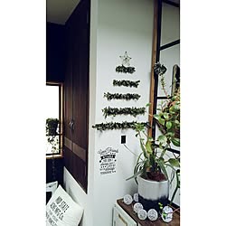 壁/天井/クリスマス/DIY/ハンドメイド/ユーカリのインテリア実例 - 2016-11-16 20:20:42