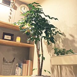 リビング/RIKI Clock/IKEA/古道具/観葉植物...などのインテリア実例 - 2016-05-09 00:06:19