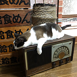 ナショナルラジオ/にこる/猫/フリマでGET/昭和の家...などのインテリア実例 - 2019-07-28 10:11:13