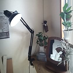 部屋全体/DIY/団地/植物/賃貸...などのインテリア実例 - 2015-11-09 09:47:58