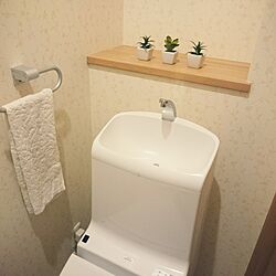 バス/トイレ/ダイソー/観葉植物増やしたい/北欧風にしたい/センスが欲しい...などのインテリア実例 - 2016-01-23 17:12:51