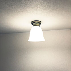 廊下照明/照明/壁/天井のインテリア実例 - 2020-10-31 00:32:25