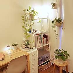 ナチュラルインテリア/観葉植物/無印良品/ナチュラル/IKEA...などのインテリア実例 - 2021-06-14 18:46:23