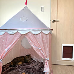 部屋全体/子ども部屋/おもちゃ収納/ねこのいる風景/おもちゃ部屋...などのインテリア実例 - 2023-12-29 15:45:38