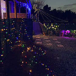 LEDライト/シンプルにすっきりと暮らす/植物のある暮らし/平屋の家/クリスマス...などのインテリア実例 - 2021-12-08 18:23:23