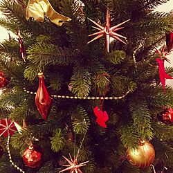 クリスマスオーナメント/クリスマスツリー/リビング/ストローオーナメント/ベツレヘムの星のインテリア実例 - 2015-12-06 04:06:51
