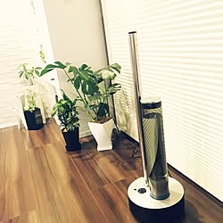 リビング/cado/加湿器もインテリアに/観葉植物/カリフォルニアインテリアに憧れる...などのインテリア実例 - 2015-11-28 01:19:43