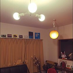 壁/天井/照明/ビンテージのインテリア実例 - 2015-02-15 22:27:29
