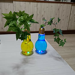 机/観葉植物/電球ソーダのインテリア実例 - 2017-08-05 20:38:36