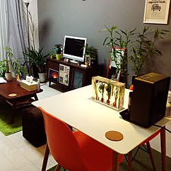 部屋全体/観葉植物/無印良品/植物/ヘルシオお茶プレッソ...などのインテリア実例 - 2014-12-25 17:22:27