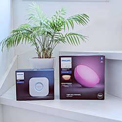 玄関/入り口/Philips Hue/Hue Go/Hue Bluetooth/階段...などのインテリア実例 - 2020-08-21 12:46:09