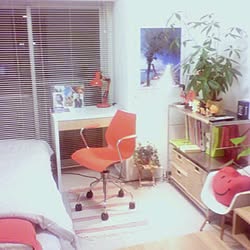 部屋全体/IKEA/観葉植物/無印良品のインテリア実例 - 2013-12-14 23:34:40