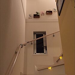 壁/天井/seria/階段/セリア/階段LEDのインテリア実例 - 2016-02-09 23:27:03