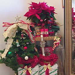 玄関/入り口/クリスマス/christmas tree/Poinsettia/100均...などのインテリア実例 - 2016-12-10 22:44:00