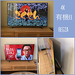 テレビ/48型4Kテレビ/東芝REGZA/有機EL/リビングのインテリア実例 - 2020-12-29 16:01:46