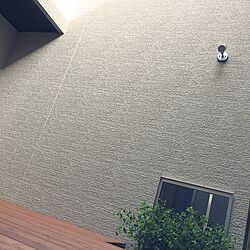 壁/天井/植物/ウッドデッキのインテリア実例 - 2015-05-20 18:31:49