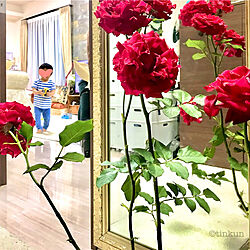 小さなお家/玄関の鏡、汚れている…猿氏…/バラのある暮らし/赤い薔薇/薔薇...などのインテリア実例 - 2022-05-13 11:01:51