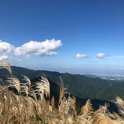 秋/すすき/登山/すすきで秋気分〜/見て頂きありがとうございます⑅︎◡̈︎*...などのインテリア実例 - 2021-10-09 19:13:08