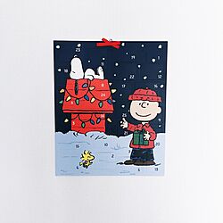 壁/天井/snoopy/クリスマス/アドベントカレンダー/スヌーピーのインテリア実例 - 2016-11-20 12:33:27