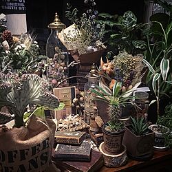 スワッグ/plants/antiques/swag/ドライフラワーのある暮らし...などのインテリア実例 - 2017-01-24 18:15:03