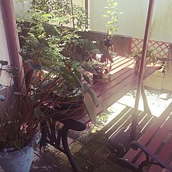 玄関/入り口/観葉植物/雑貨/ガーデニングのインテリア実例 - 2016-08-17 21:28:55