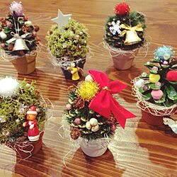 クリスマスツリー/手作り/まつぼっくりのツリーのインテリア実例 - 2014-11-17 17:26:00