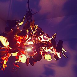 壁/天井/ライト照明/ハンドメイド/電気傘/ドライフラワーアレンジのインテリア実例 - 2016-06-29 08:47:19