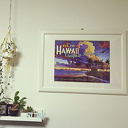 壁/天井/hawaiiのある生活/HAWAII/IKEA/観葉植物...などのインテリア実例 - 2016-12-26 01:30:29