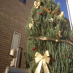 玄関/入り口/ダイソー/クリスマスツリーのインテリア実例 - 2016-12-15 09:10:27