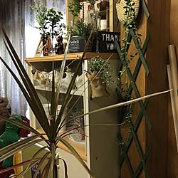 部屋全体/観葉植物/空き瓶/フェイクグリーン♡のインテリア実例 - 2016-12-03 16:05:04