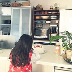 キッチン/手作りケーキ/植物/子供と暮らす/棚 DIY...などのインテリア実例 - 2016-03-03 16:47:37