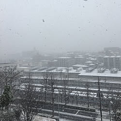 部屋全体/部屋じゃなくてすみません/かめらまーく消し/団地/雪景色？のインテリア実例 - 2018-01-22 13:53:43