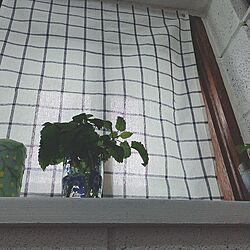 バス/トイレ/IKEA/雑貨/DIY/観葉植物のインテリア実例 - 2016-09-05 15:10:11
