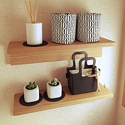 バス/トイレ/無印良品/100均/多肉植物/フェイクグリーンのインテリア実例 - 2015-01-16 11:12:42