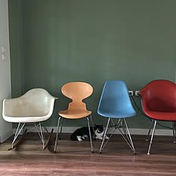 antchair/FRITZHANSEN/Eames/Herman Miller/Eames Chairのインテリア実例 - 2020-05-05 12:59:57