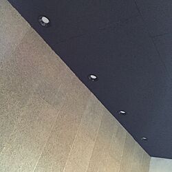 壁/天井/木毛セメントボード/TV壁/照明のインテリア実例 - 2016-03-27 14:06:19