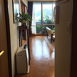 玄関/入り口/観葉植物のインテリア実例 - 2016-09-23 14:31:10