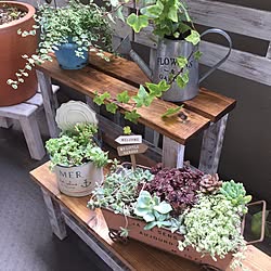 玄関/入り口/セダム寄せ植え/多肉寄せ植え/植物台DIY/ナチュラル...などのインテリア実例 - 2017-06-24 10:45:37