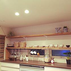 キッチン/IKEA/観葉植物/フェイクグリーン/食器のインテリア実例 - 2016-05-17 21:10:17