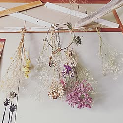 机/RC鹿児島支部/ハンドメイド/観葉植物/狭小住宅...などのインテリア実例 - 2016-10-19 18:53:52