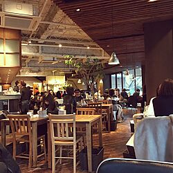 カフェ/レストラン/ロイヤルガーデンカフェのインテリア実例 - 2017-02-11 17:03:13