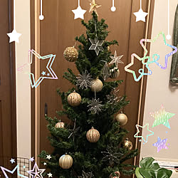 癒し/植物/クリスマス/玄関に花/玄関...などのインテリア実例 - 2020-12-15 08:11:24